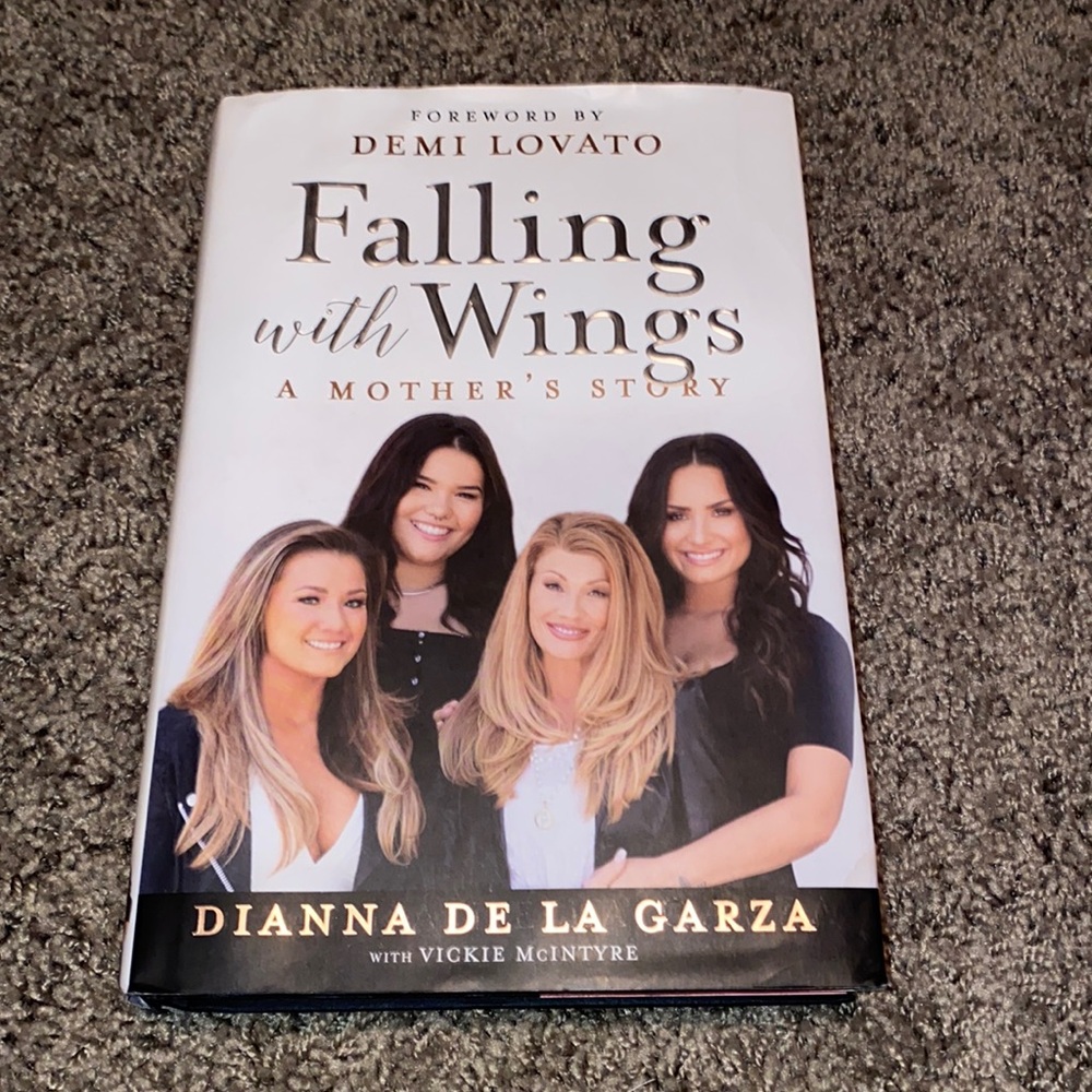Chapter Book “Falling with Wings: A Mothers Story”